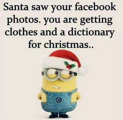 Snarky Christmas Themed Minion Quote