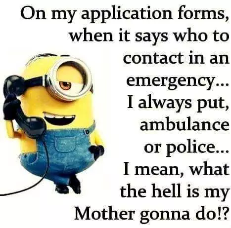 Minions Memes Clean Enough For Kids  Emergency Contact