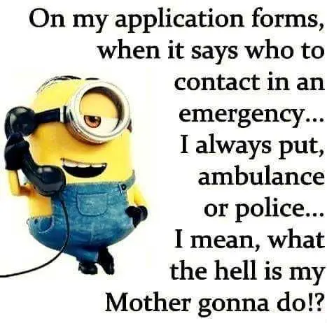 20 Snarky Minions Memes Clean Enough To Love