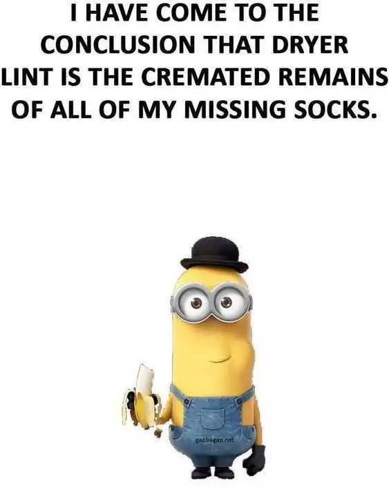 Minions Pictures Conclusion About Dryer Lint