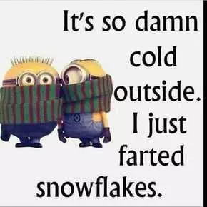 31 Funny LaughOutLoud Minions Pictures So Cold
