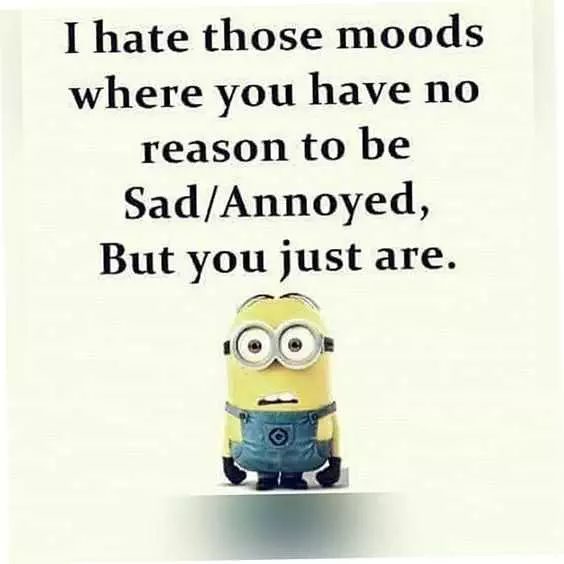 31 Funny Laughoutloud Minions Pictures  No Reason To Be Sad Mood