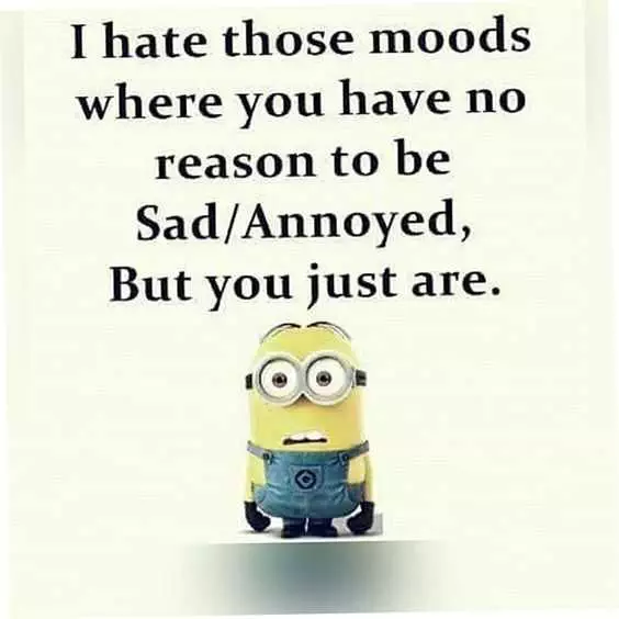 31 Funny LaughOutLoud Minions Pictures No Reason To Be Sad Mood