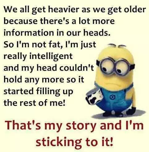 Minions Memes Clean Enough For Kids  Heavier As We Get Older