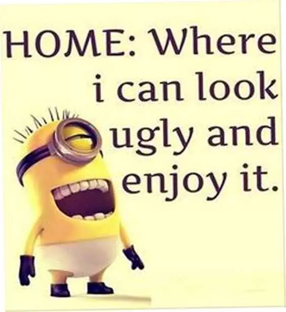 Funny Minion Pictures Enjoying Home