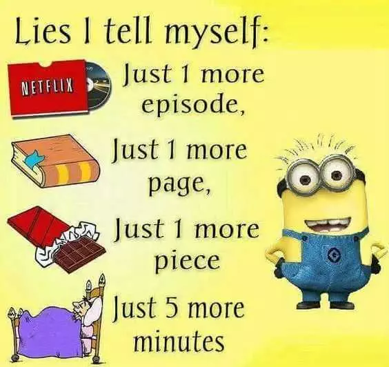 Minions Memes Clean Enough For Kids Lies I Tell Myself