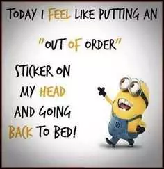 Minions Memes Clean Enough For Kids  Out Of Order