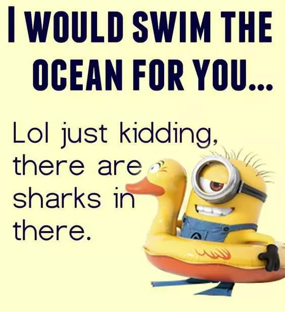 Minions Memes Clean Enough For Kids  Swim The Ocean For You