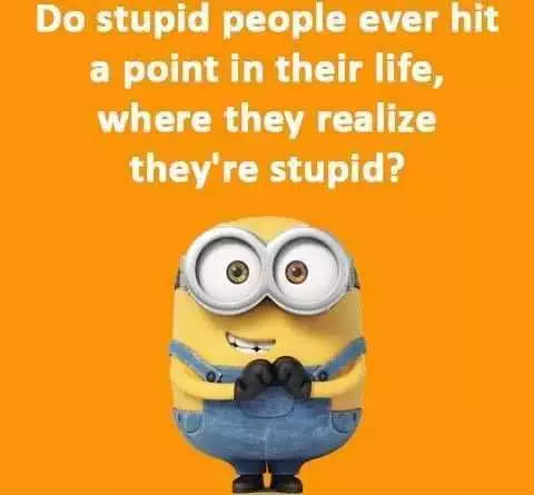 Minions Memes Clean Enough For Kids  Stupidity