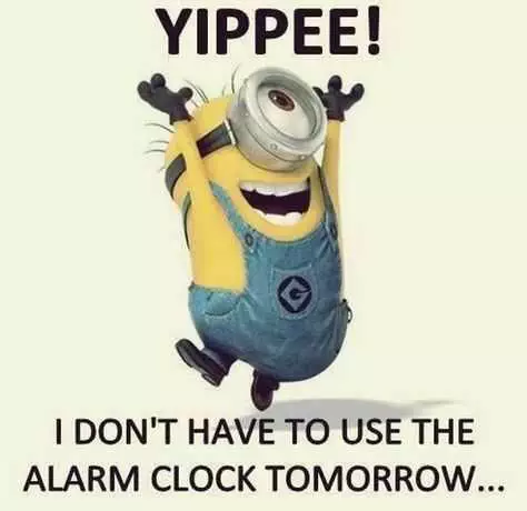 31 Funny LaughOutLoud Minions Pictures No Alarm Clock Tomorrow