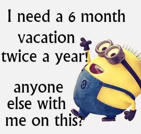 Funny Minions Pictures  6 Month Vacation Twice A Year