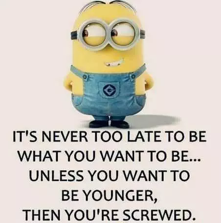 Snarky Minion Quotes About Aging