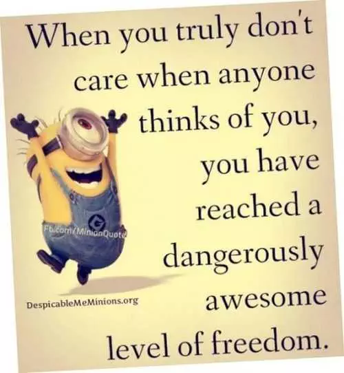 Minions Memes Clean Enough For Kids  Freedom