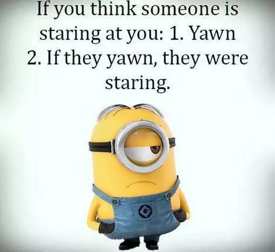 31 Funny Laughoutloud Minions Pictures  What To Do When Someone Staring