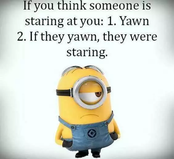 31 Funny LaughOutLoud Minions Pictures What To Do When Someone Staring