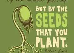 Quote Dont Judge Seeds