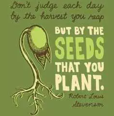 Quote Dont Judge Seeds
