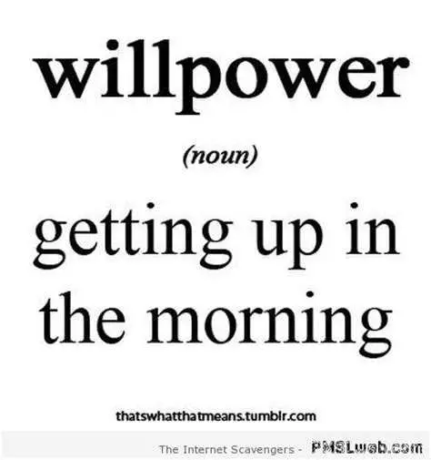 Hilarious Quotes About Life  Willpower