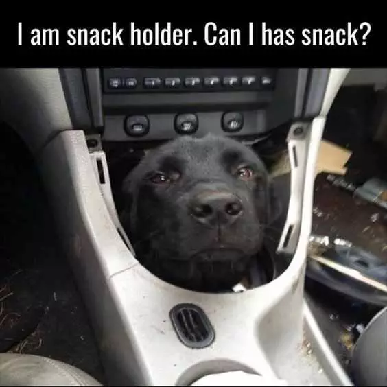 Animal Snack Holder