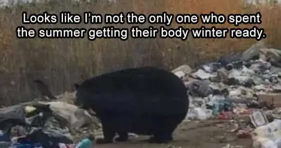 Funny Body Winter