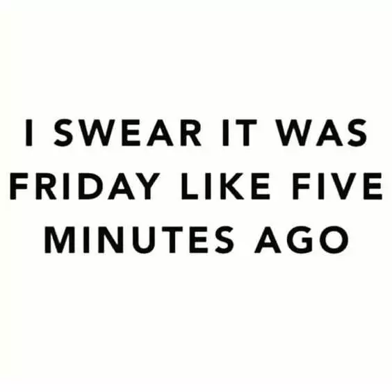 Funny Life Quotes And Sayings 7  Friday Five Minutes