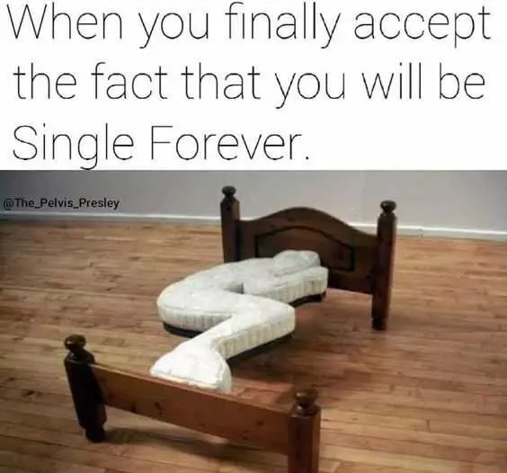 Memes About Single Life  Stylish Bed Though!