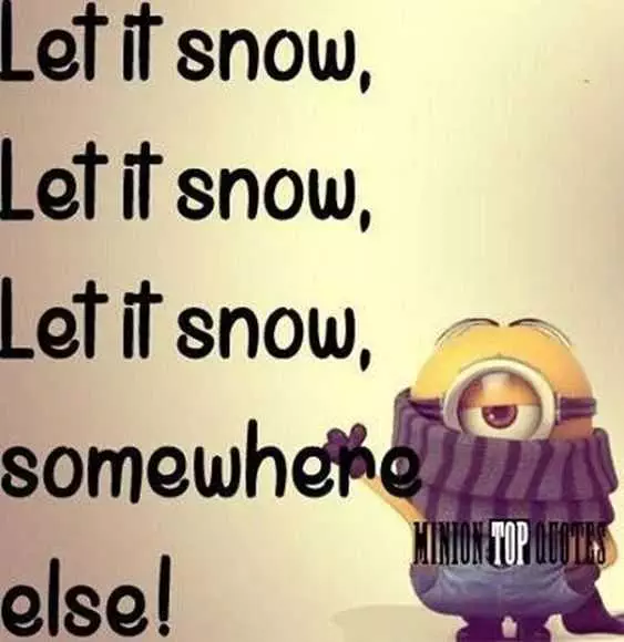 Funny Minion Snow