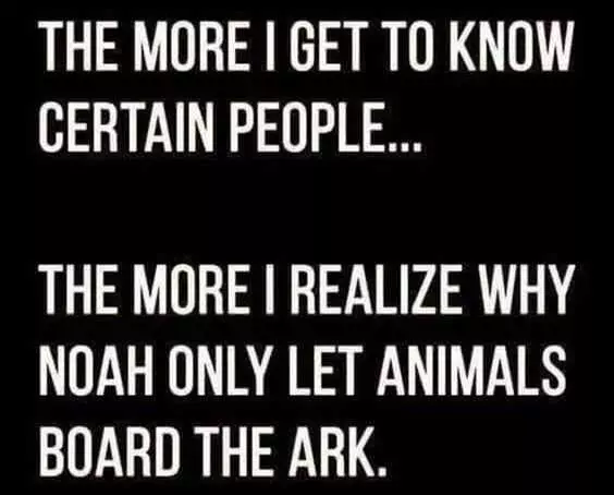 Funny Life Sayings 1 Noah