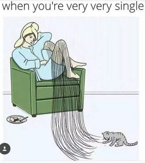 Funny Single Cats Hair