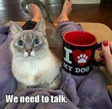 Funny Dank Memes We Need To Talk Look