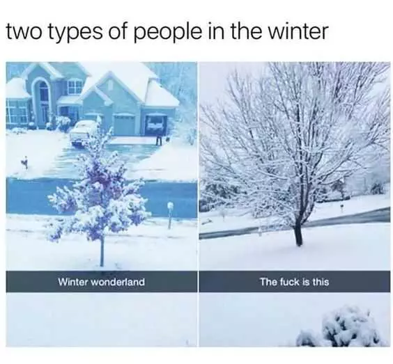 Funny Two Types Winter