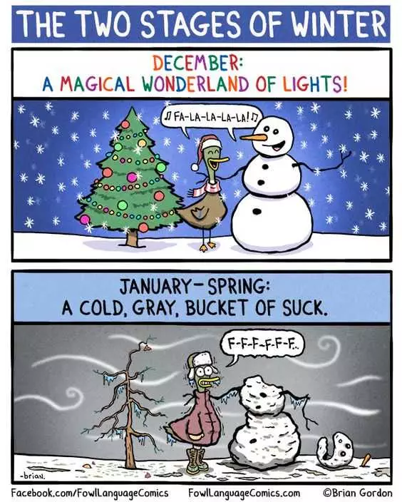 Funny Winter January