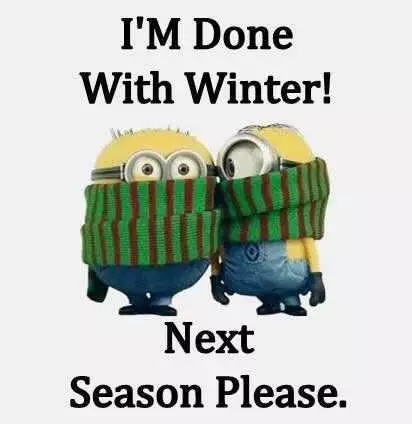 Funny Winter Minion