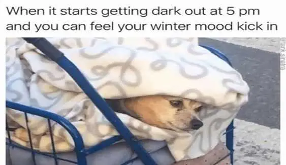 Funny Winter Mood