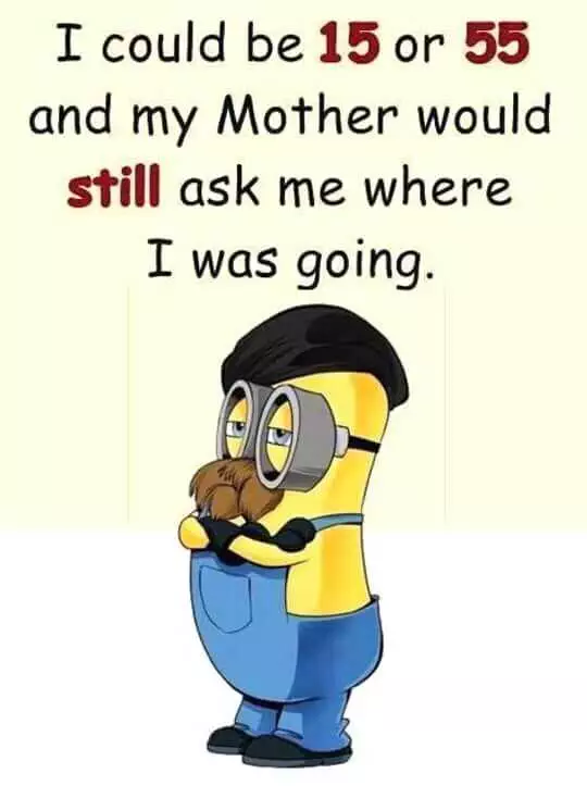 Hilarious Minions  Mothers Being Mothers Meme
