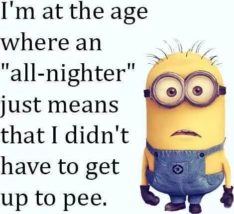 Minion Quotes Funny  Aging