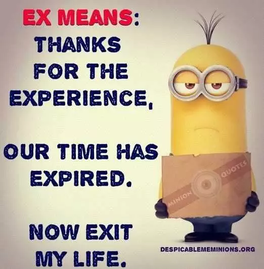 Minion Quotes Funny Relationships