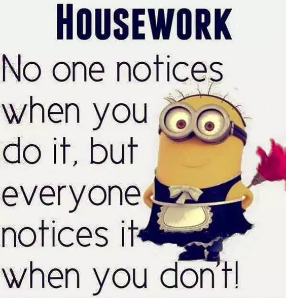 Minion Quotes Funny Housework