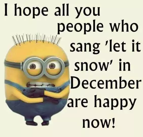 Minion Memes About Winter
