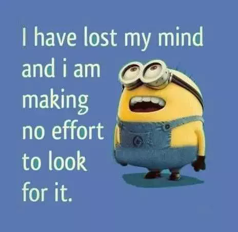 Minion Memes  Losing My Mind