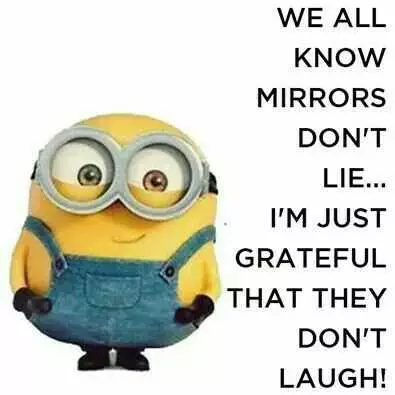 Hilarious Minions Images  Mirrors Don'T Lie