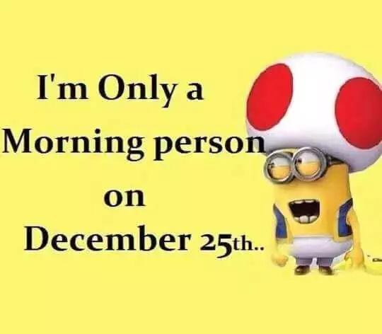Funny Minion Memes For Christmas