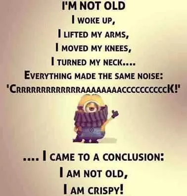 Minion Quotes Funny Aging