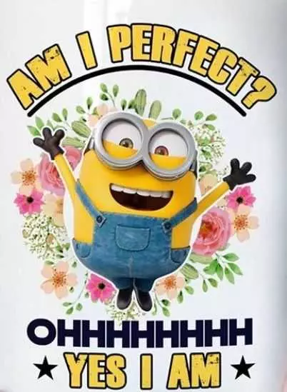 Hilarious Minion Images  Perfect