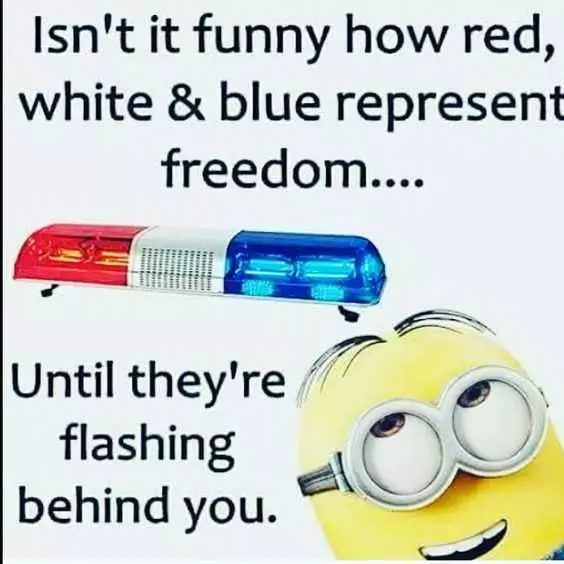 Funny Minion Memes  Red White Blue