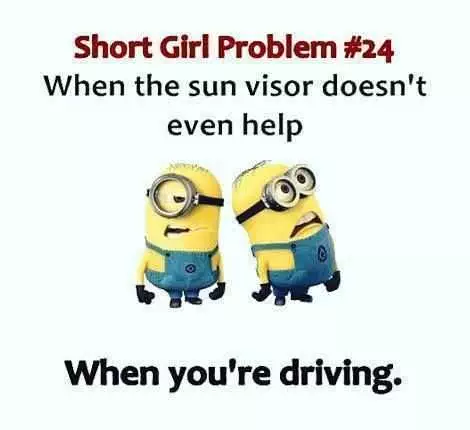 Minion Quotes Funny Short People