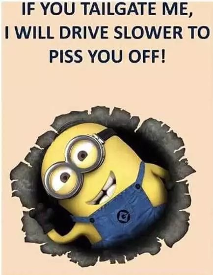 Minion Quotes Funny Driving Quotes
