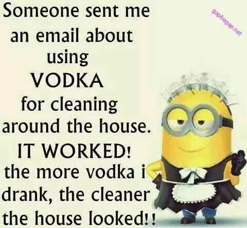 Minion Memes  Alcohol Is A Cleaning Solution