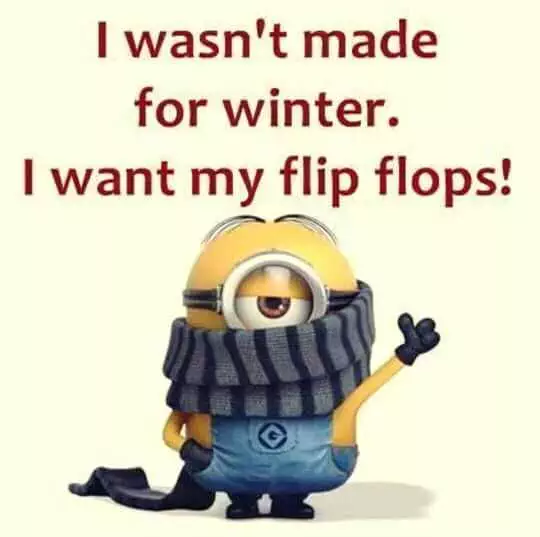 Funny Minion Memes  Want Flip Flops