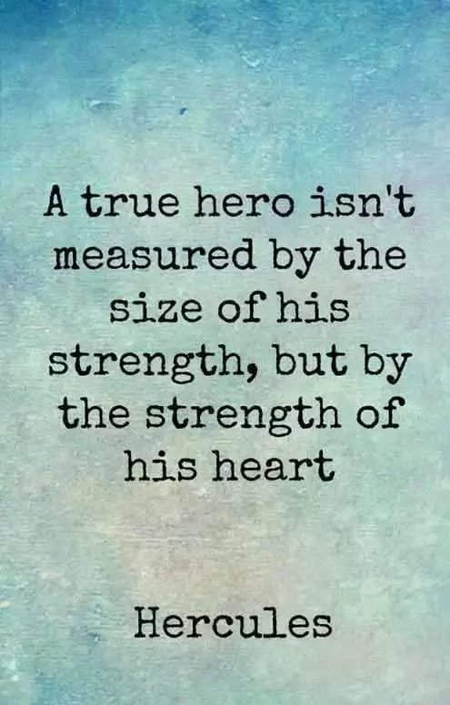 Quotes About Being A Hero